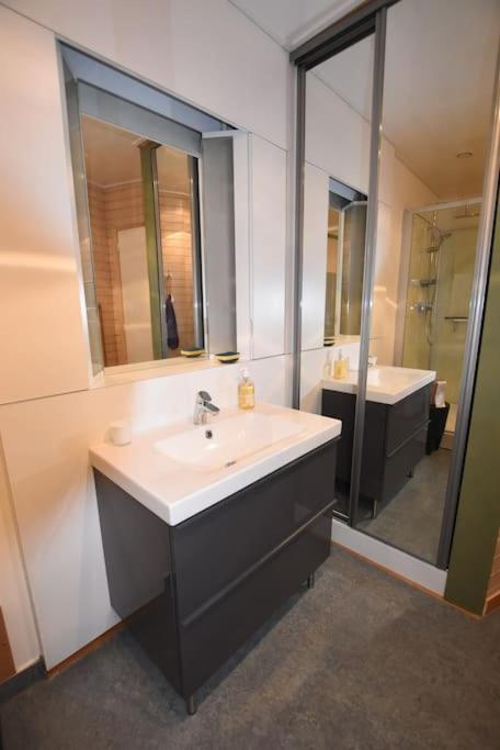 Appartement La Chalotais,1 Chambre, 3 Personnes, Hyper Centre Rennes